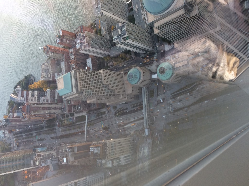 View from 100th Floor of WTC.