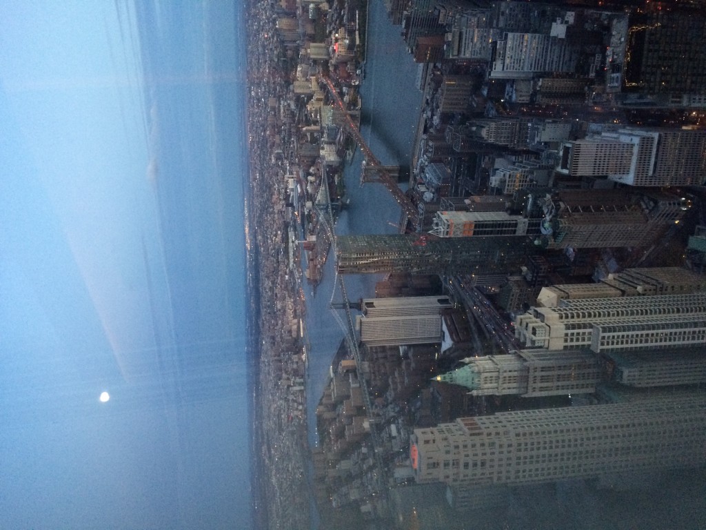 View from 100th Floor of WTC.