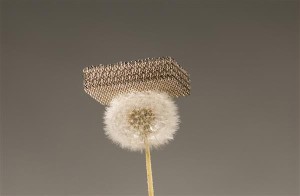 Microlattice metal lighter than a dandelion. Courtesy of HRL Laboratories, Photo: Dan Little