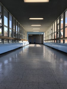 Soon to have our final walks on the breezeway, as the clock ticks its getting closer to graduation!  Photo Credit: Bhavna Roopchand