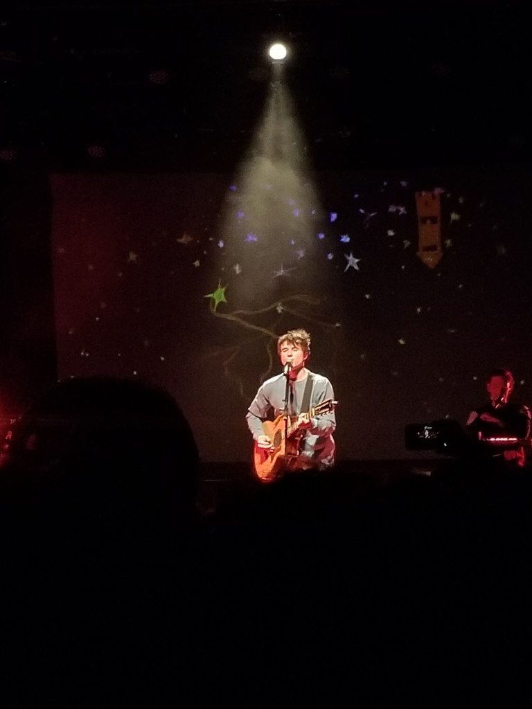 Alec Benjamin singing “Water Fountain” in front of an audience of about 1,500 people at Irving Plaza.