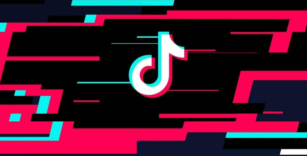 TikTok: Raising Awareness of Real World Problems