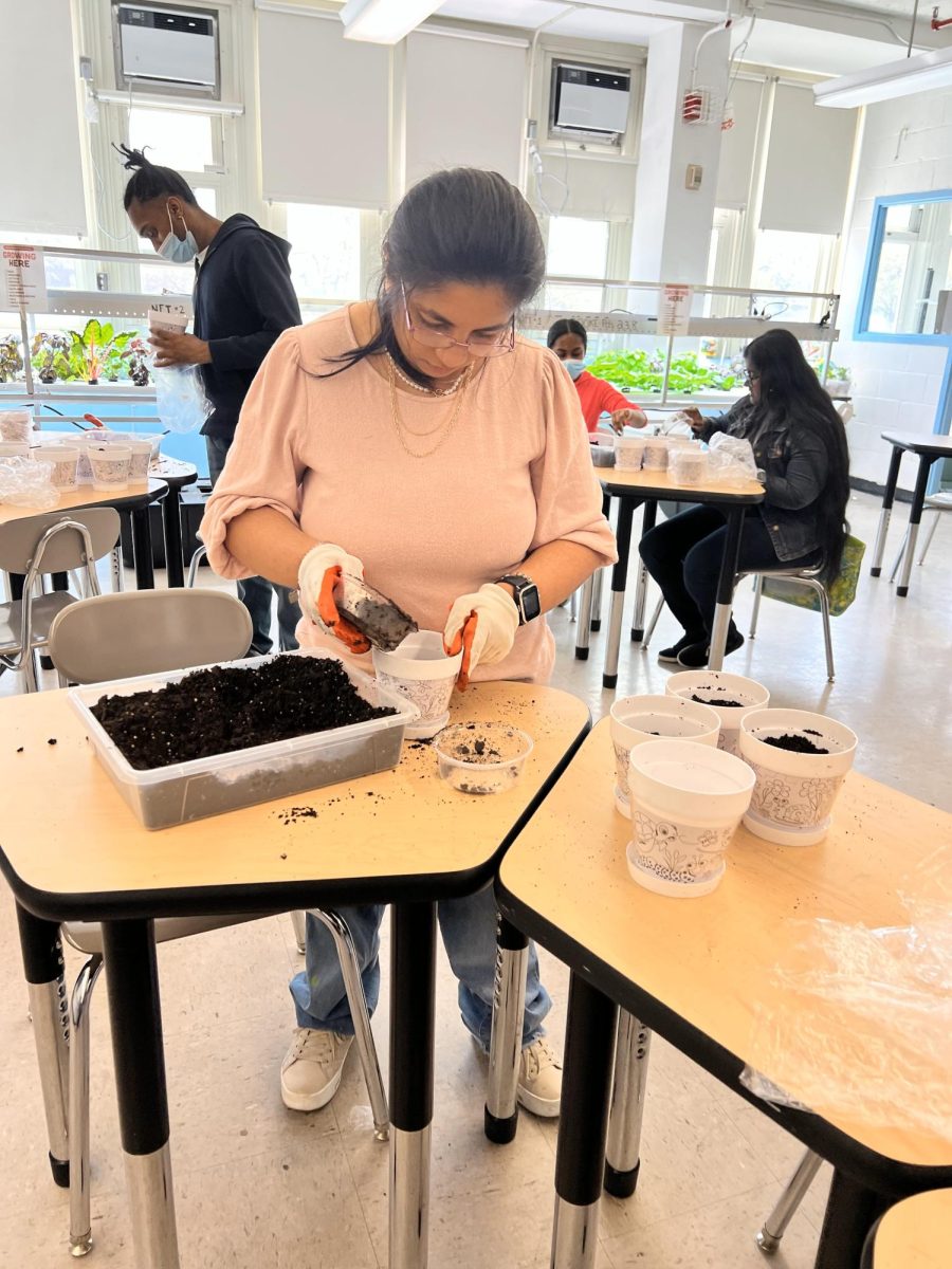 The ACES Class Annual Plant Sale