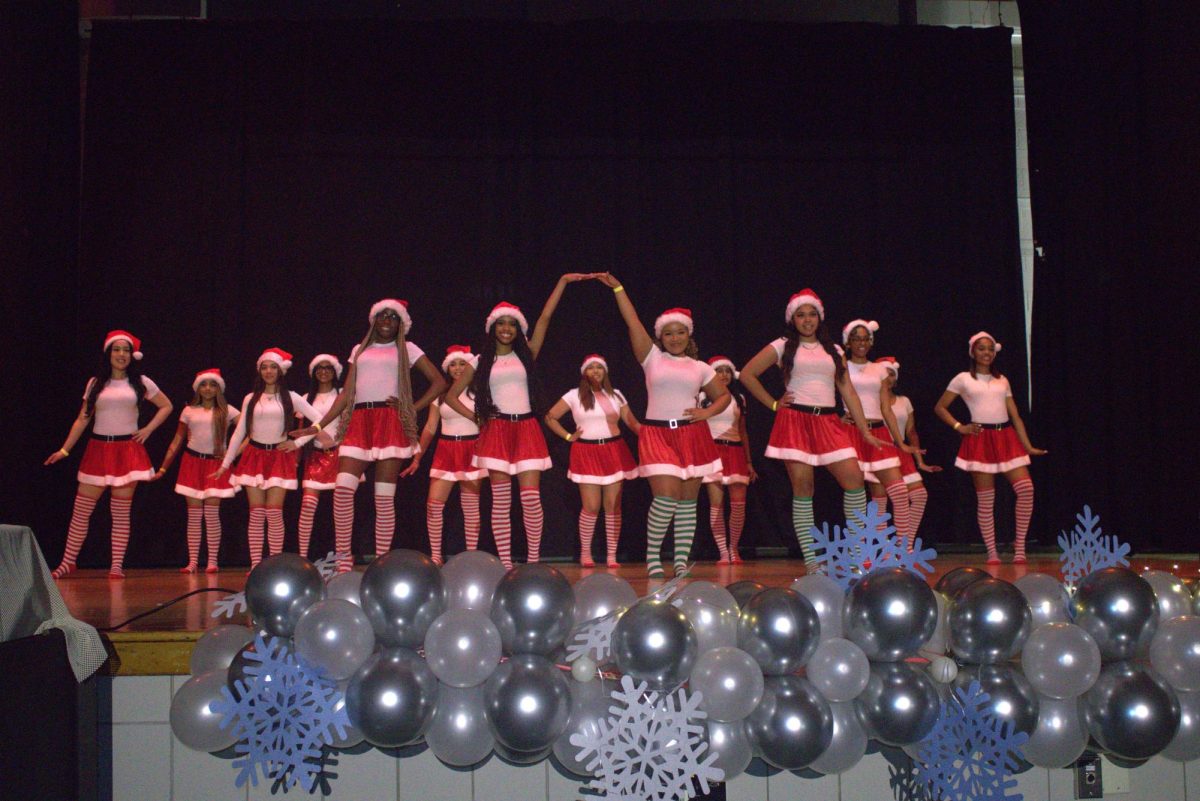 Students Showcase Talents at Annual Gym Show