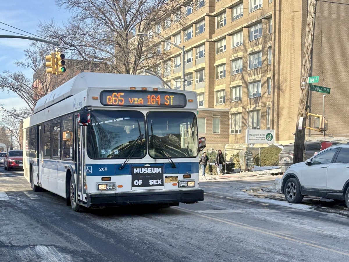 Many Edison students rely on the Q65 to get to school and after-school activities. In the days following heavy snowfall, access to the bus from the bus-shelter was limited.