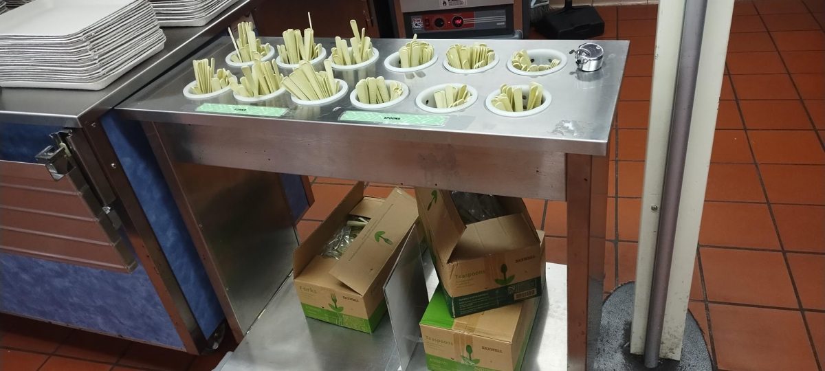 Student's utensils are now more environmentally friendly, but at what cost?