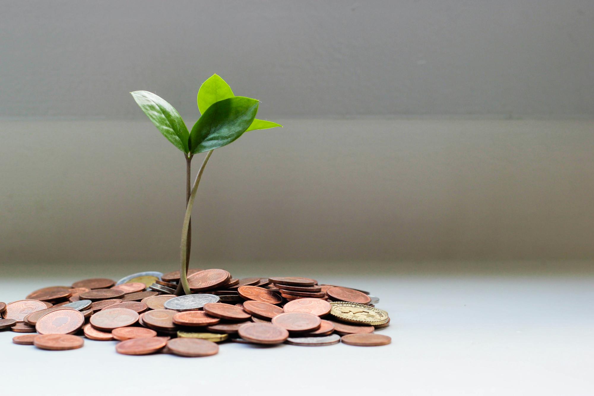 A core part of CFM is for students to understand how money works to develop basic financial understanding skills